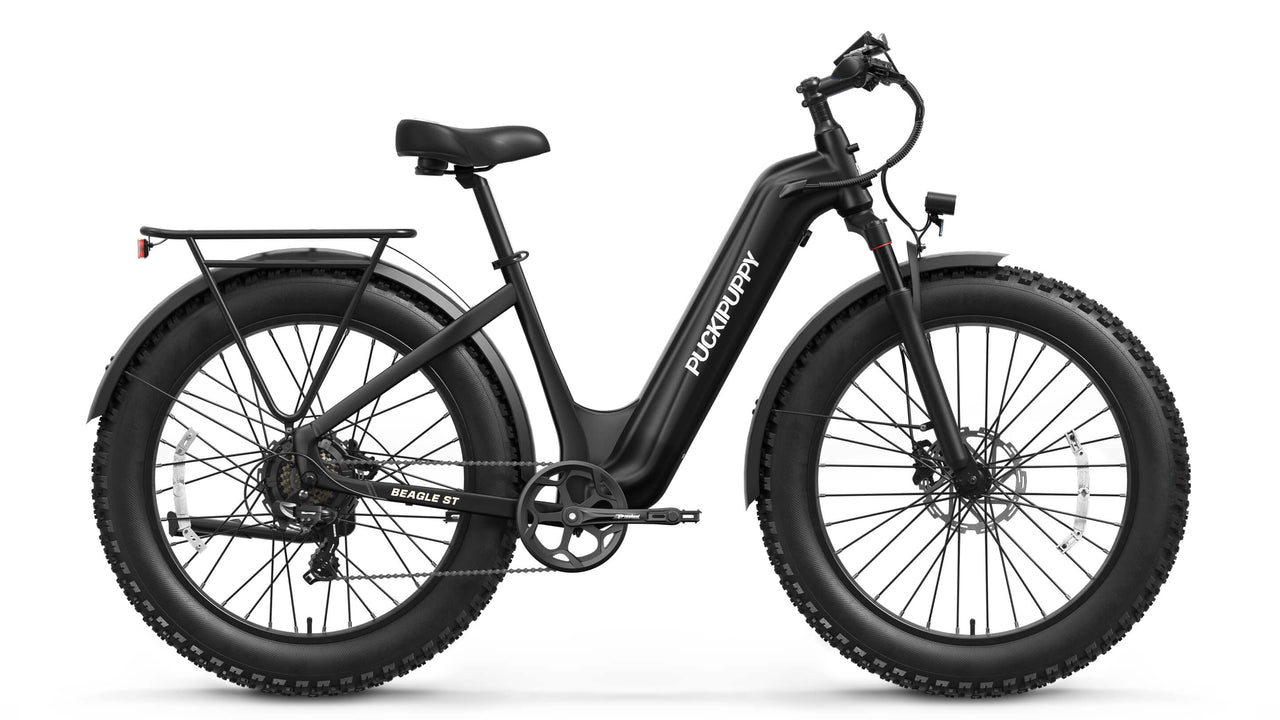 Beagle 2 ST Ebike
