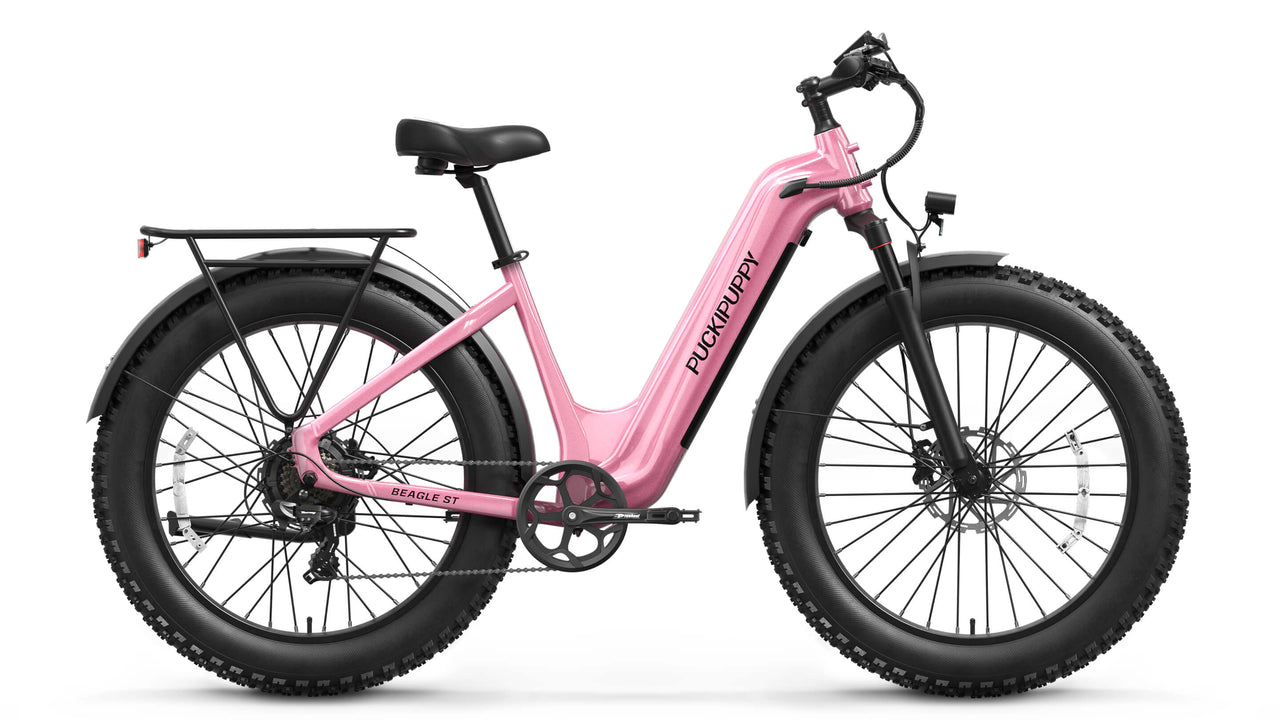 Beagle 2 ST Ebike