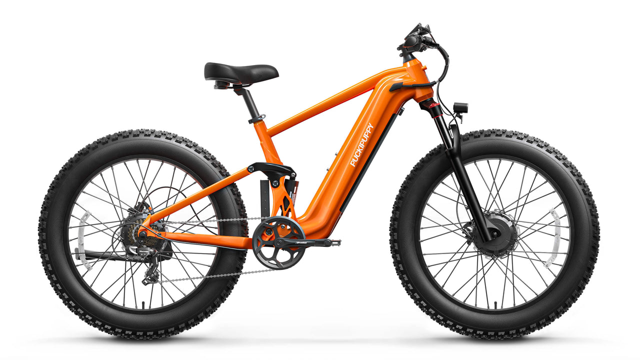 GoldenR Ebike