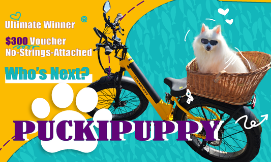 $600 in Prizes Awarded! Meet the Winners — Are You Next?