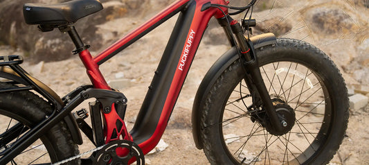 What is an Ebike? And Is It Really Worth the Money?