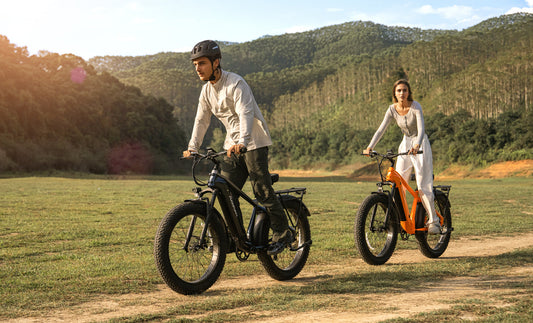 PUCKIPUPPY Beagle - fat tire electric bike for sale