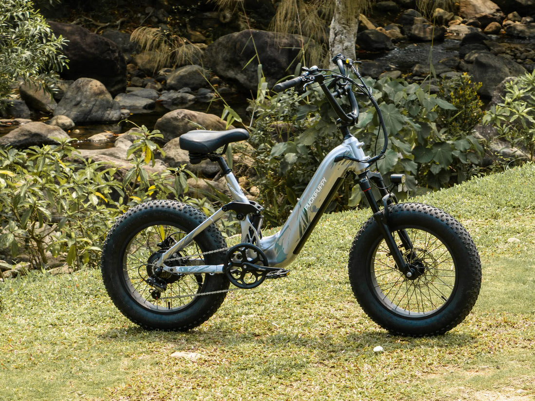 Puckipuppy Buying Guide: How to Choose an Electric Bike
