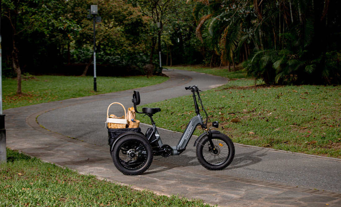 PUCKIPUPPY Husky - long range electric bike