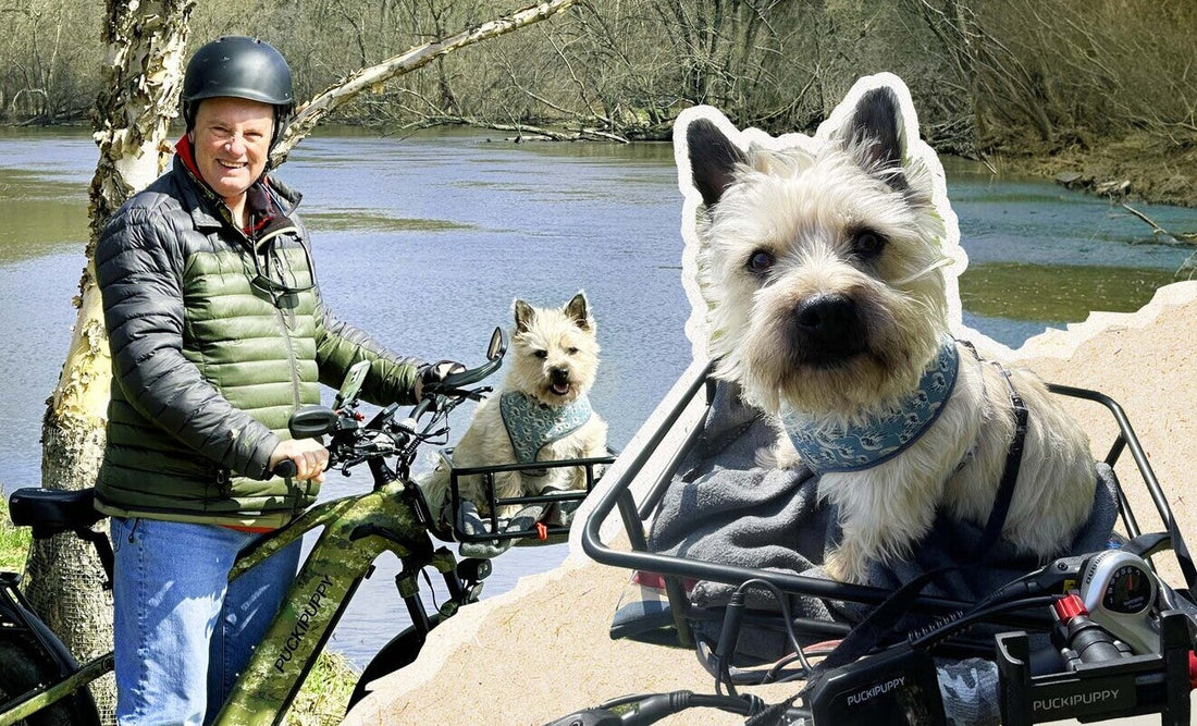 Snap Your Pet’s Pawsome Ride—Win $300!