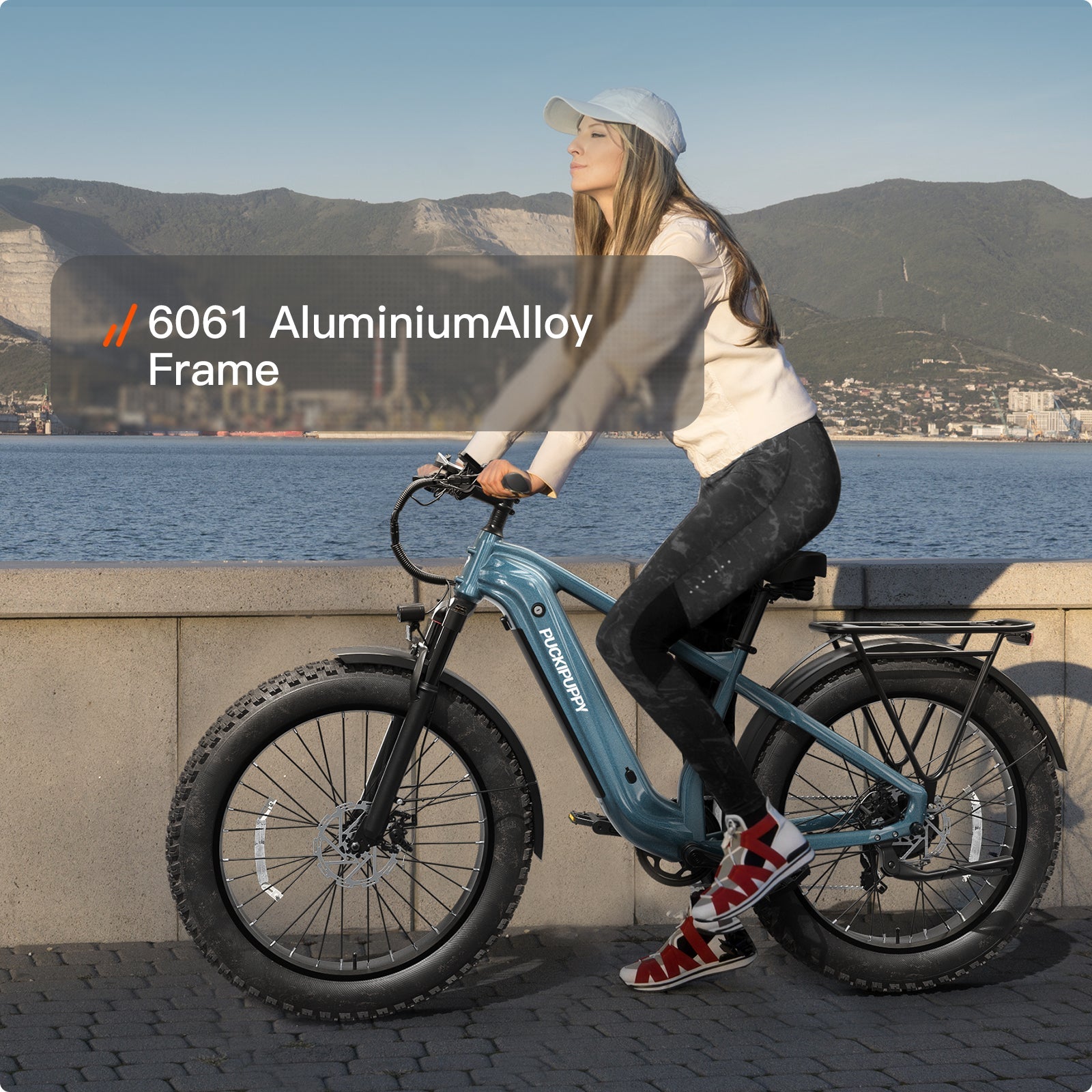 Beagle 2 EbikeMetallic Gray