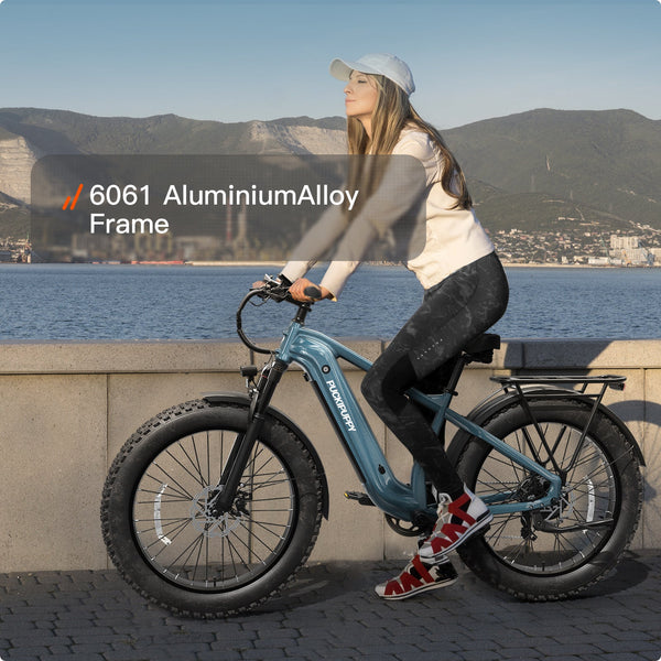 Beagle 2 EbikeMetallic Gray