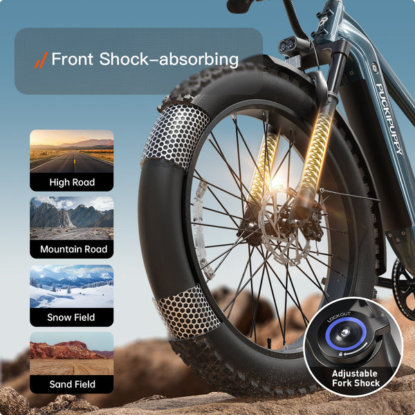 Beagle 2 EbikeMetallic Gray