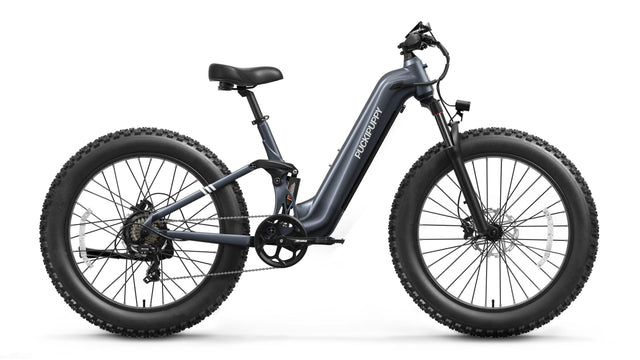 Boxer ST Ebike - Metallic Gray