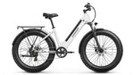 Samoyed Ebike