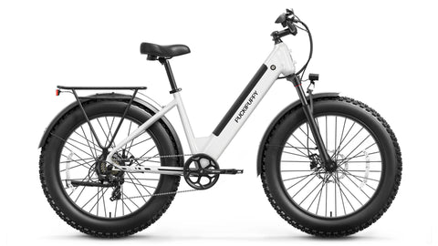 Samoyed Ebike - White