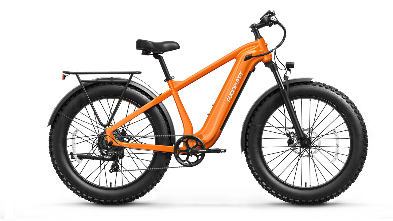 Beagle 2 Ebike