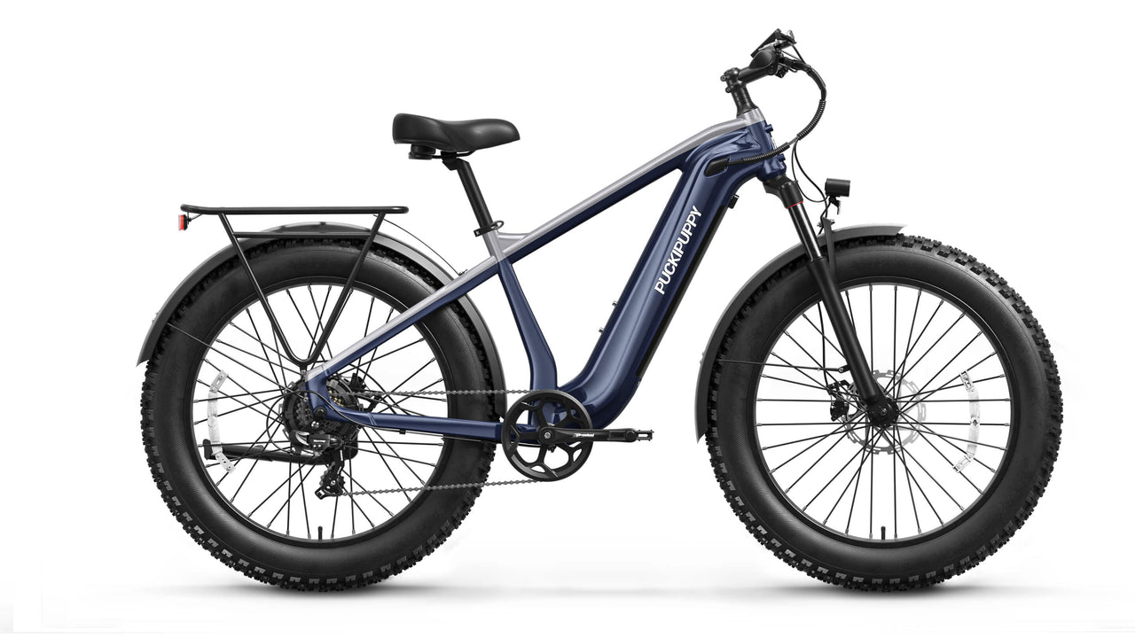 Beagle 2 Ebike