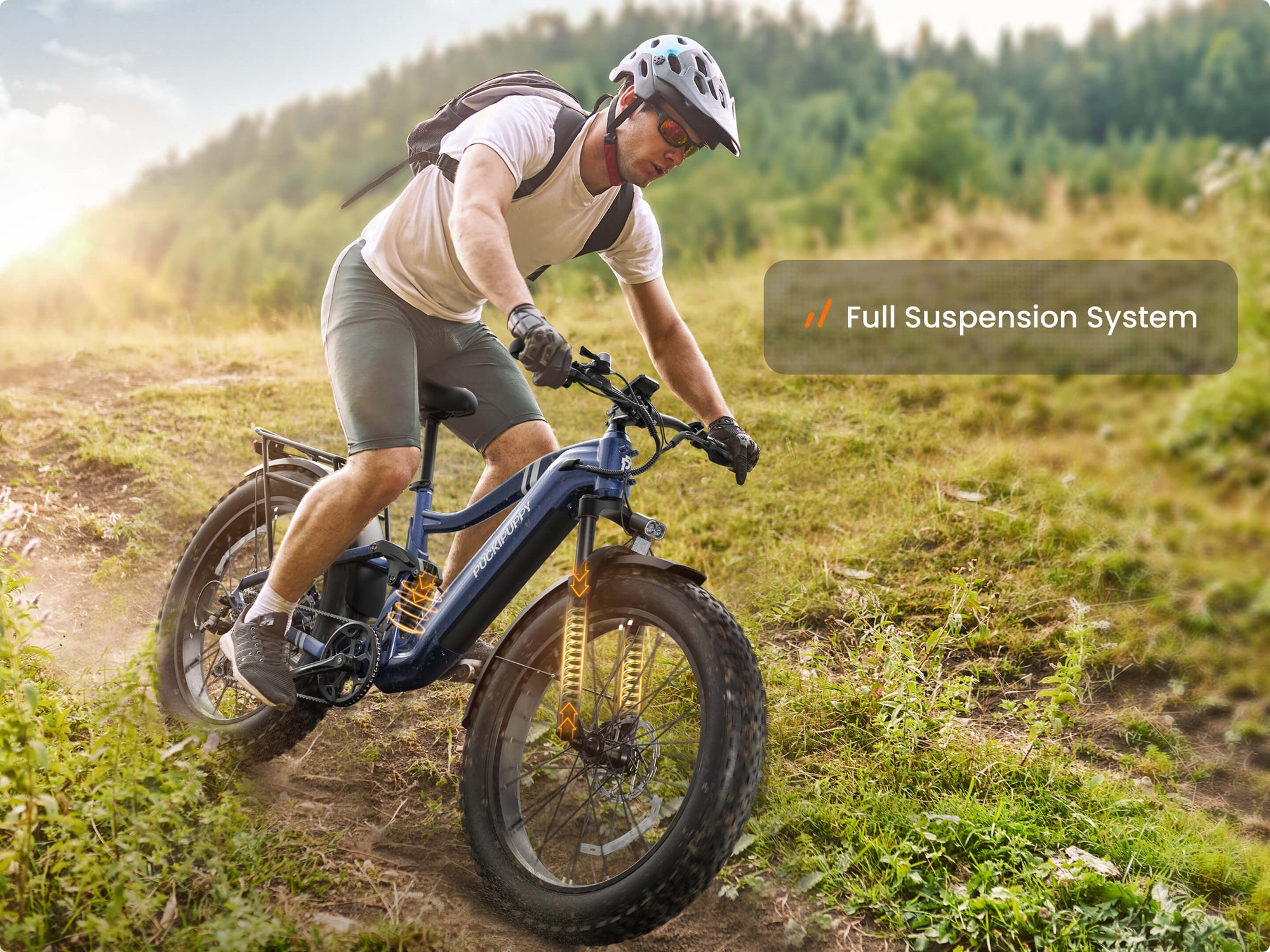 Boxer EbikeGrey Blue