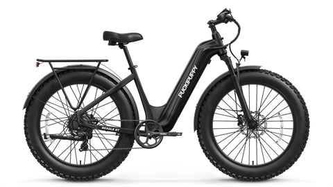 Beagle 2 ST Ebike - Black