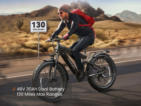 Bulldog EbikeIron Gray