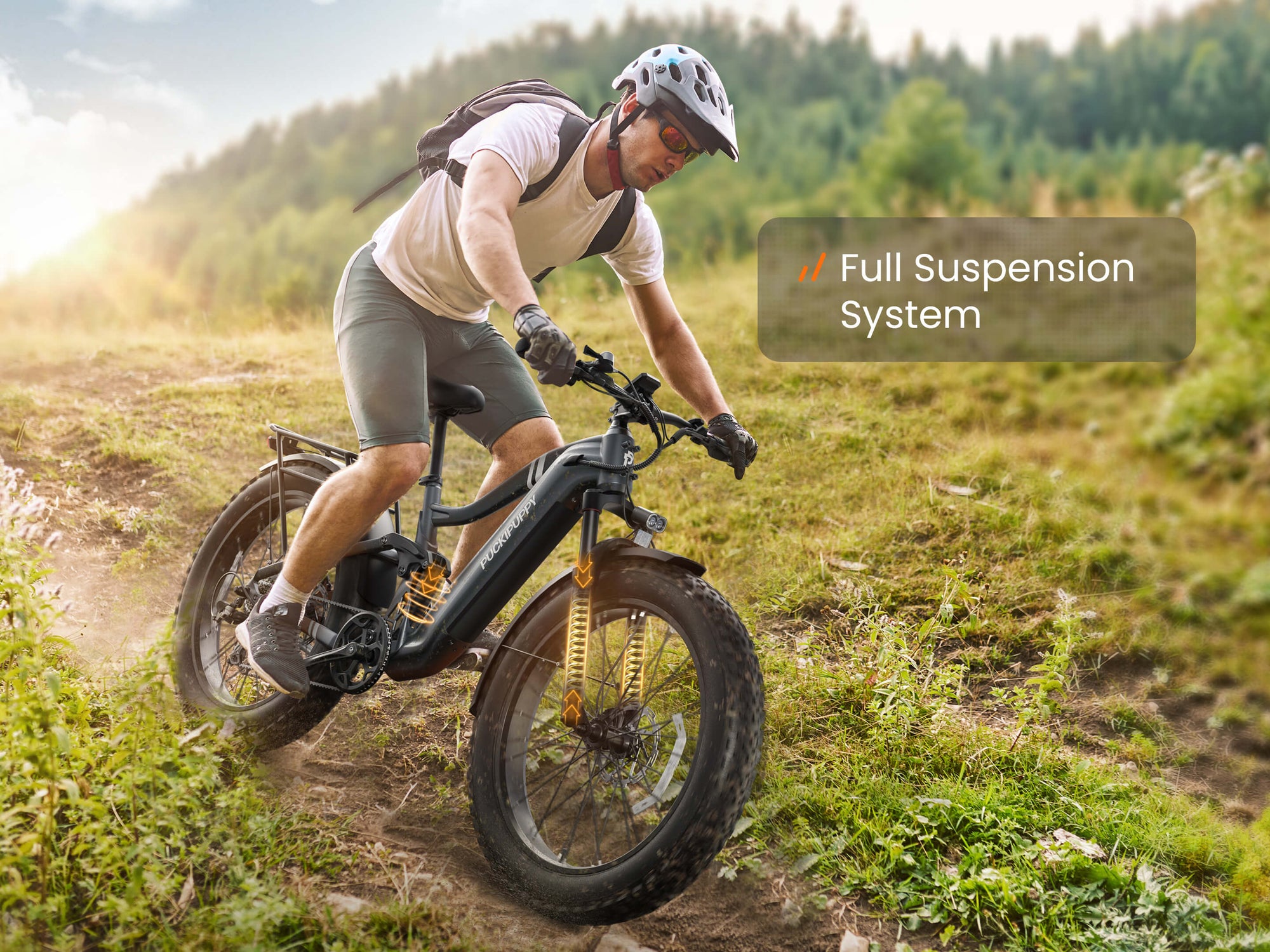 Boxer EbikeMetallic Gray