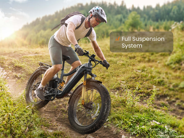 Boxer EbikeMetallic Gray
