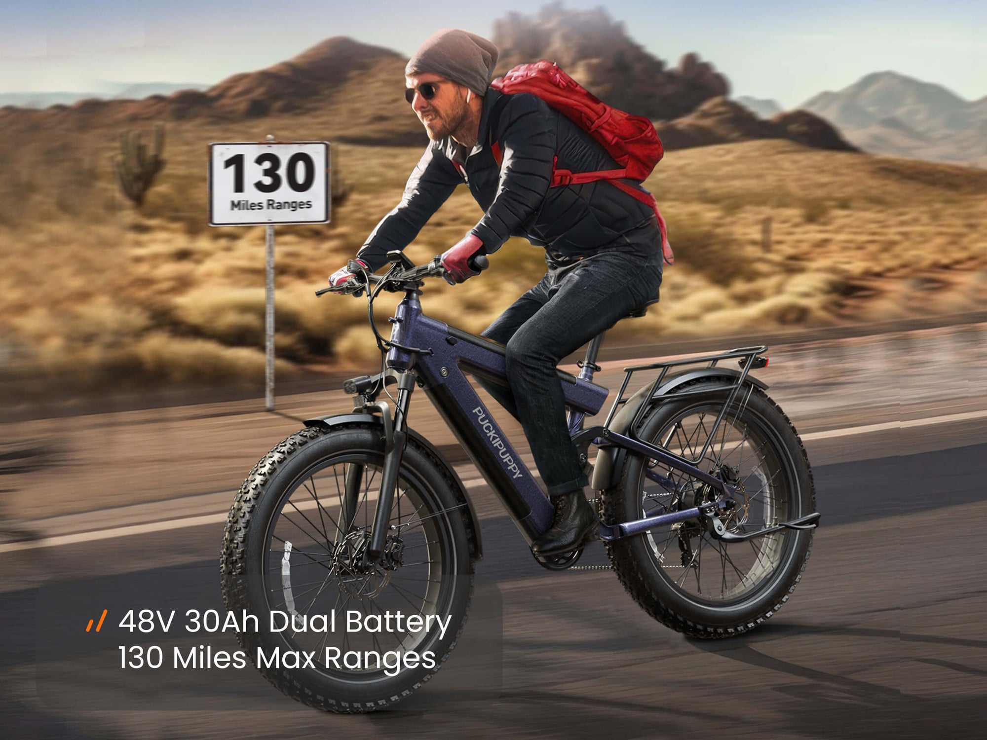 Bulldog Ebikesilver blue