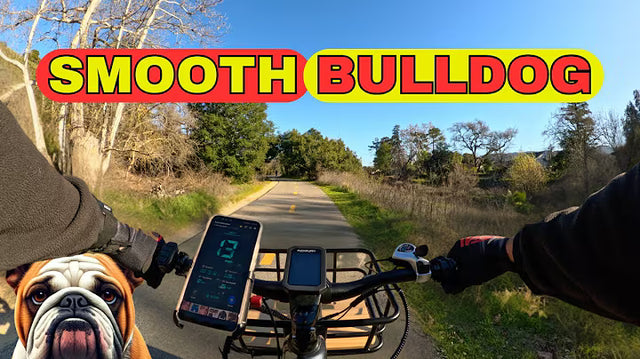 <p><strong>Puckipuppy Ebike - Bulldog Dual Battery Ebike Review</strong></p>