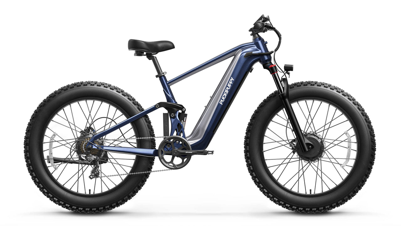 GoldenR Ebike