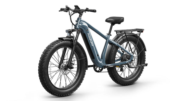 Beagle 2 EbikeMetallic Gray