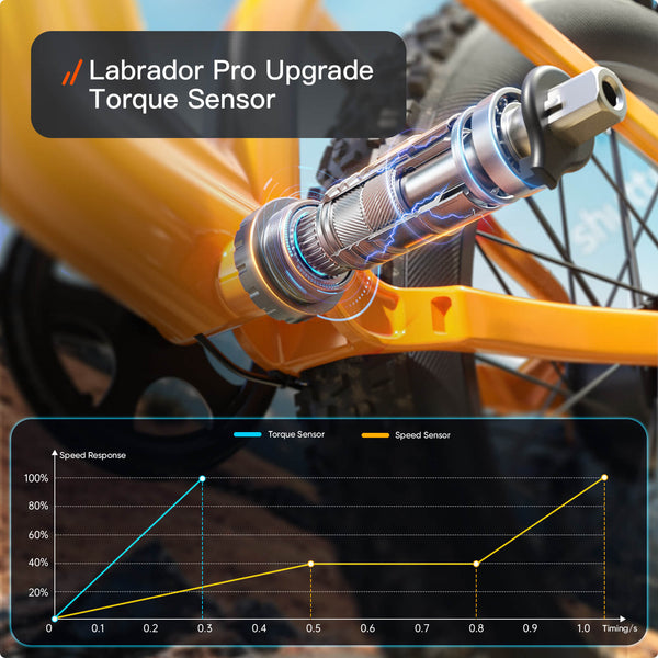 Labrador Pro EbikeOrange