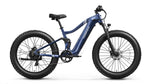 Boxer Ebike