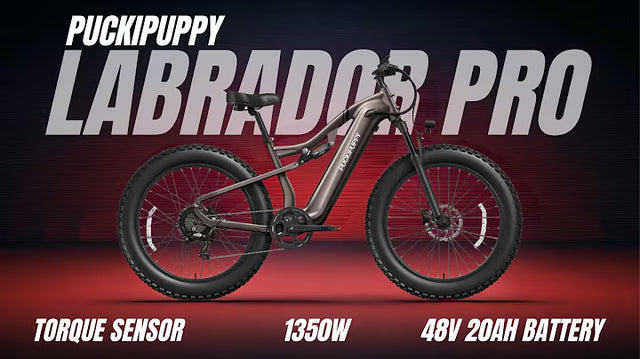 <p><strong>Labrador Pro Review - Puckipuppy Ebike</strong></p>