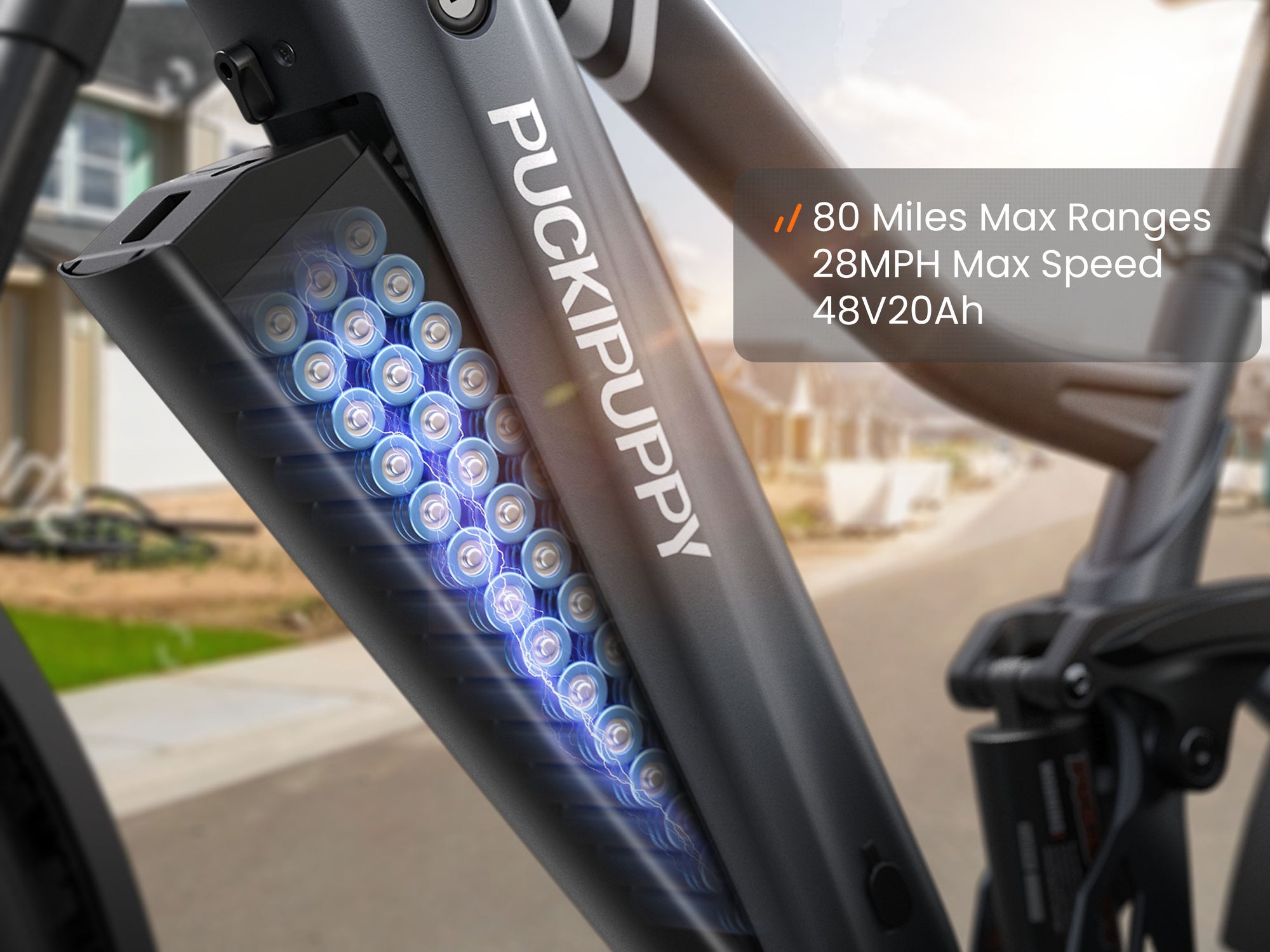 Boxer EbikeMetallic Gray