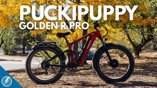 <p><strong>Puckipuppy GoldenR Pro Review | Man’s Dual-Motor Best Friend?</strong></p>