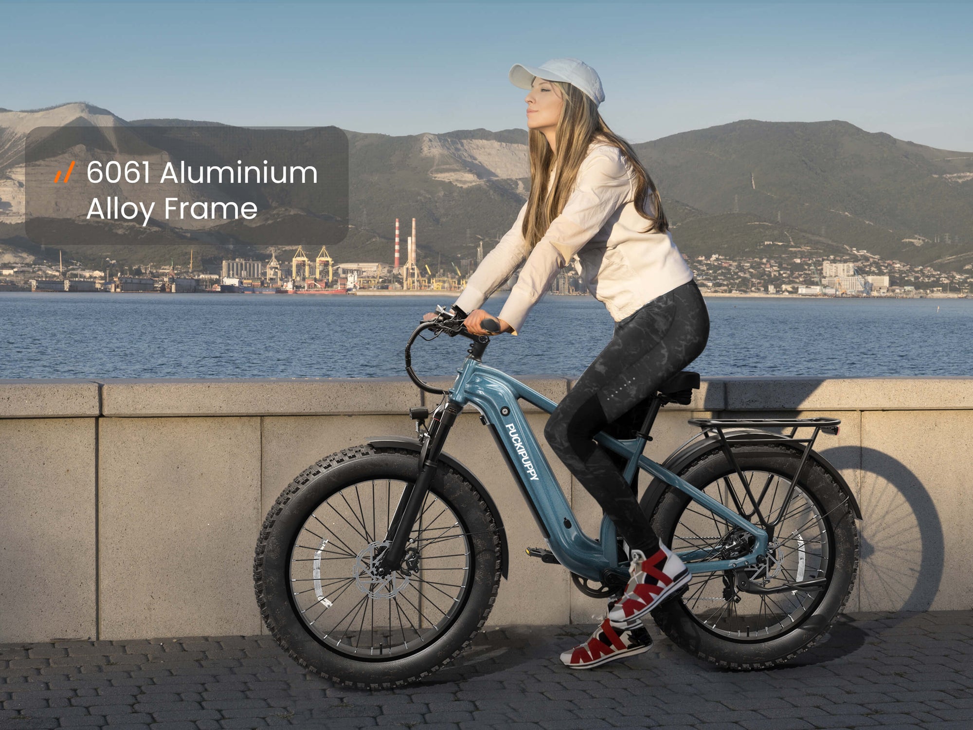 Beagle 2 EbikeMetallic Gray