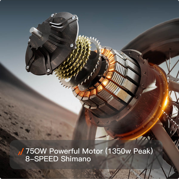 Labrador Pro EbikeOrange