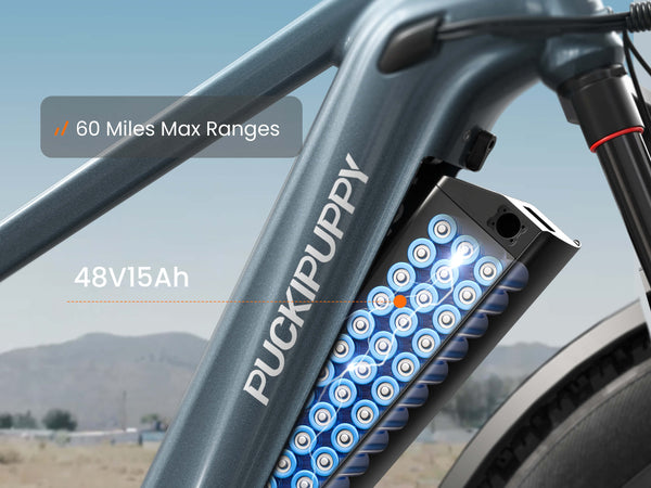 Beagle 2 EbikeMetallic Gray