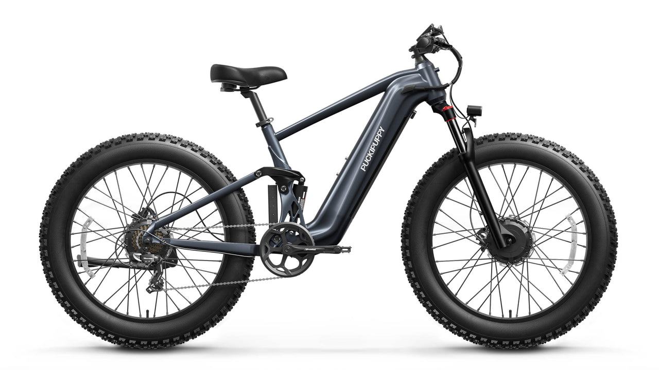 GoldenR Ebike