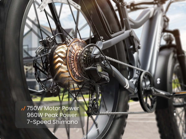 Boxer EbikeMetallic Gray