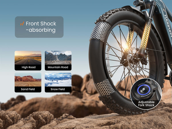 Beagle 2 EbikeMetallic Gray