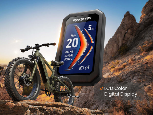 GoldenR EbikeForest Camouflage