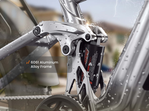 Boxer EbikeGrey Blue