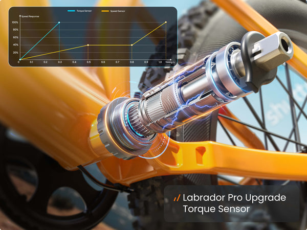 Labrador Pro EbikeOrange