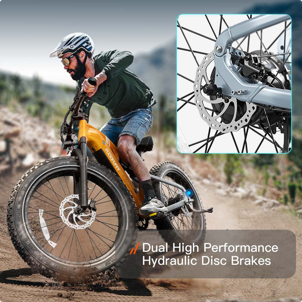 Labrador Pro EbikeOrange