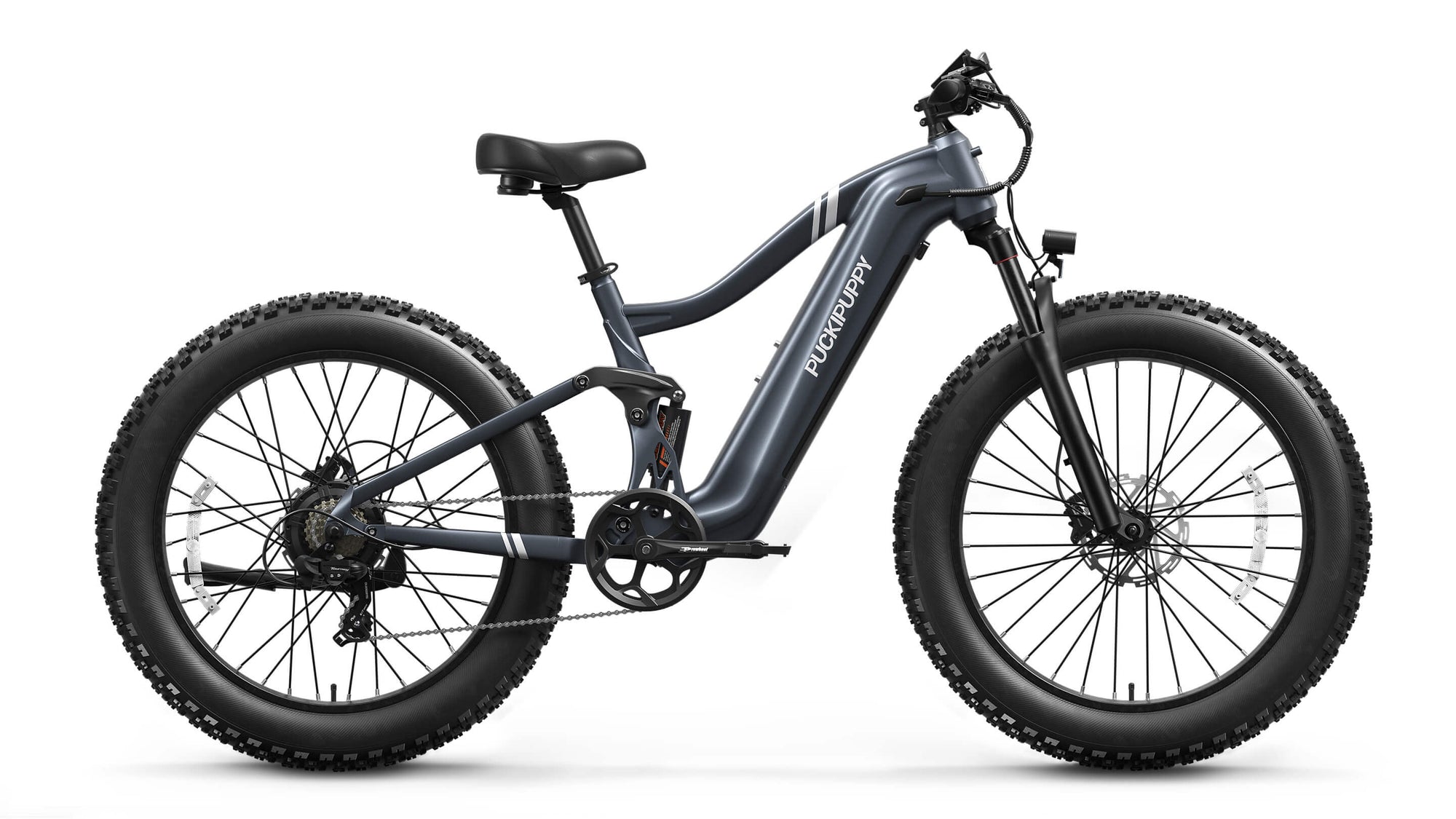 Boxer EbikeMetallic Gray