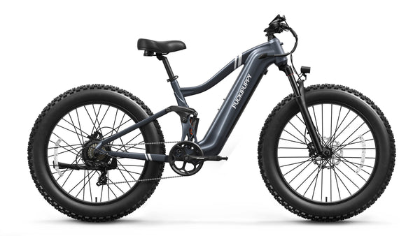 Boxer EbikeMetallic Gray
