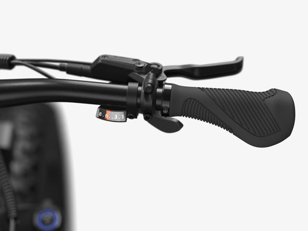 8-Speed Shimano Gears