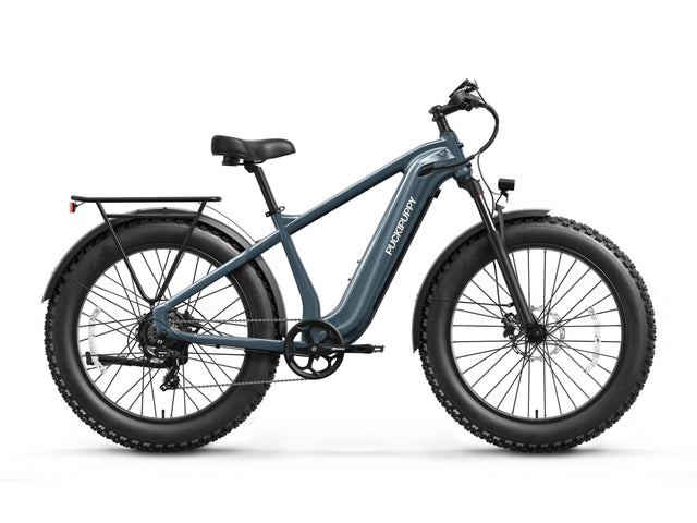 Beagle 2 Ebike - Metallic Gray
