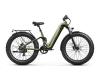 Boxer ST Ebike