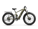 GoldenR Ebike