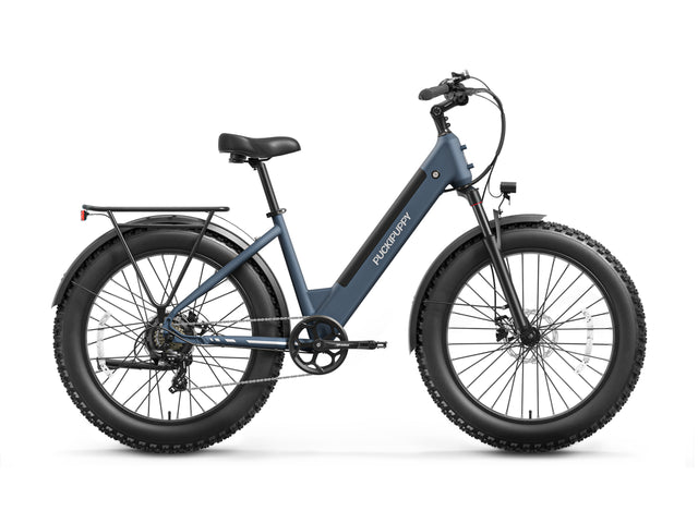 Samoyed Ebike - Gray Blue