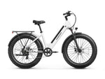Samoyed Ebike