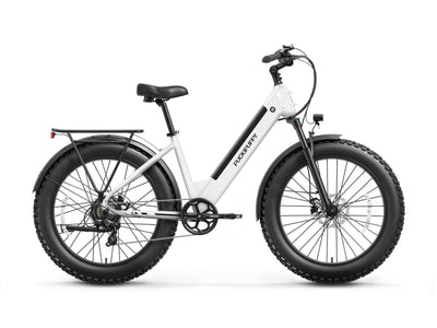Samoyed Ebike